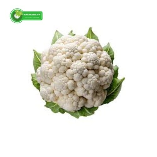Góp mặt trong nhiều bữa cơm gia đình, súp lơ trắng được yêu thích nhờ sự tươi ngon và giá trị dinh d...