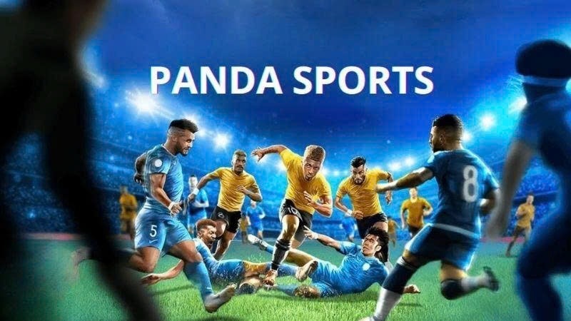 Panda Sports – sảnh cá cược uy tín, tỷ lệ cược cao, ưu đãi hấp dẫn



Panda Sports được biết đến như...