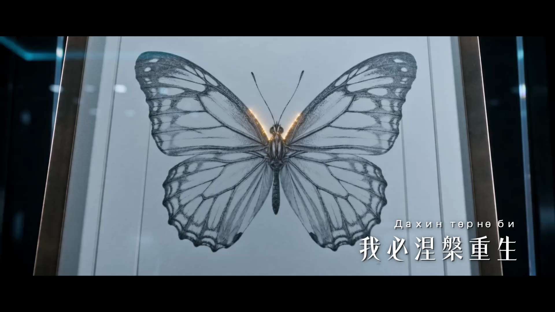 【问心】

献给

新中国联邦成立六周年🙏💙

“我问我——所求为何？

我见我——欲火重生”

消 灭 中 共

#NFSC6th #干掉共产党 #takedowntheccp #美国上海农场 ...