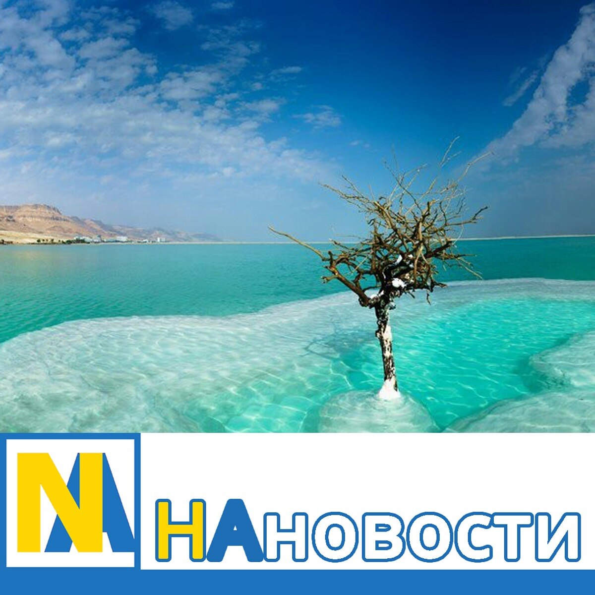 What GETTR.com Is and How to Use It to Promote Israel News

GETTR.com is a social media platform for...