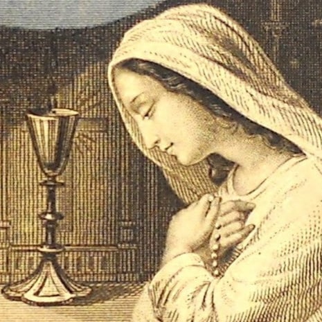 Traditional Catholic, "Covid" widow, autodidact.