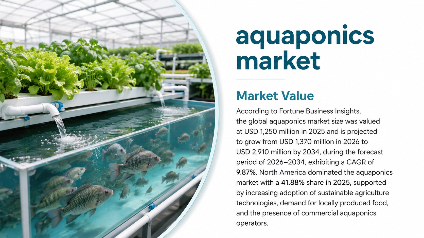 Aquaponics Market Size, Share & Industry Analysis 2026-2034

According to Fortune Business Insights,...