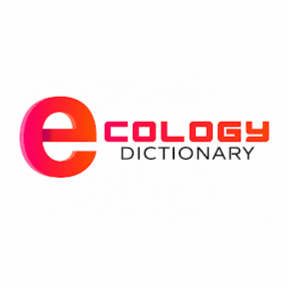 Ecologydictionary.org khẳng định vị thế là trang tin chuyên sâu về Tin tức Bóng Đá, cung cấp cho độc giả cái nhìn toàn d...