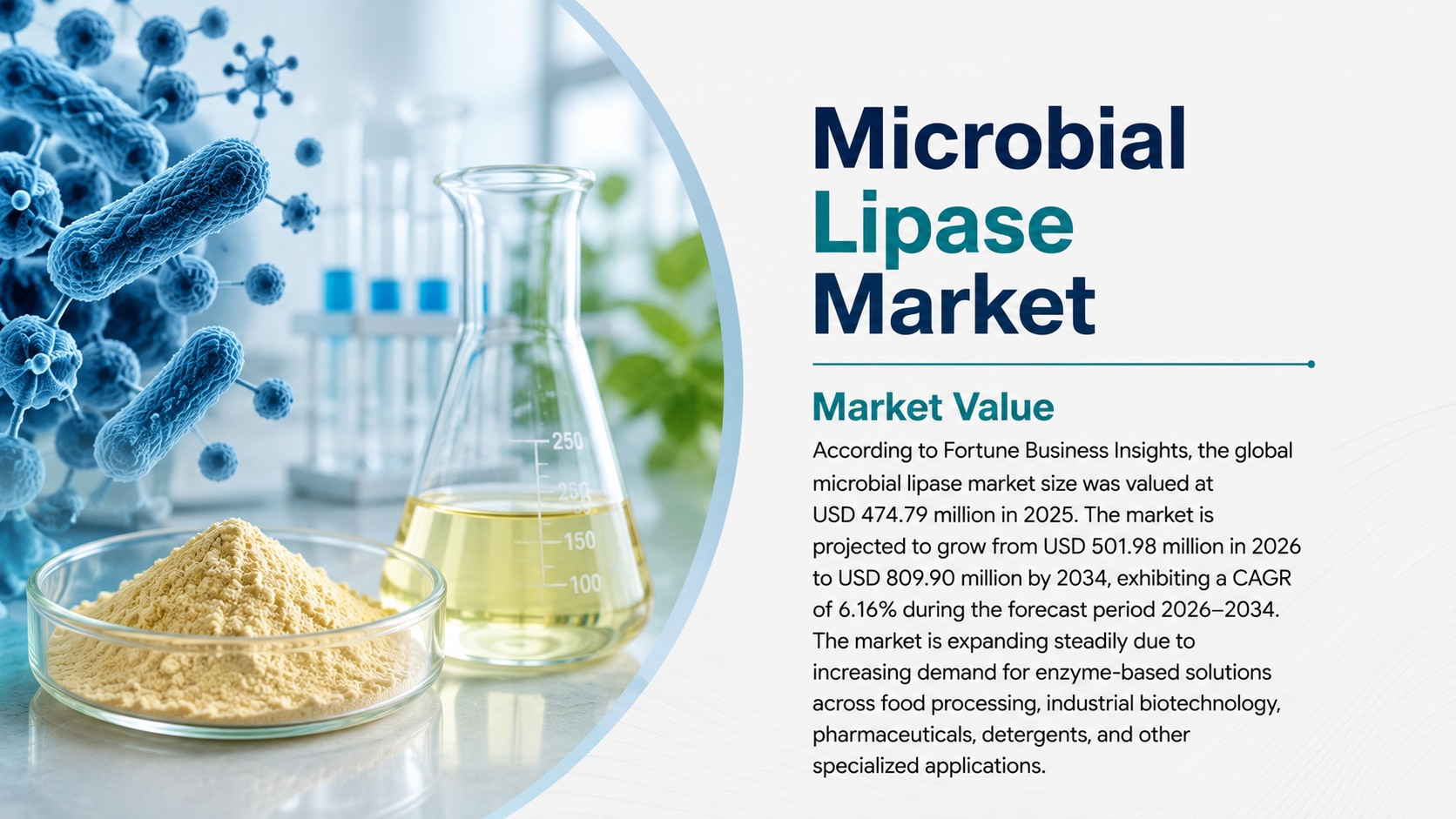 Microbial lipase market: size, trends, growth analysis, and forecast (2026–2034)

According to Fortu...