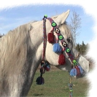 Proud & vocal supporter of our true President, Donald J. Trump. WarRoom Posse.  IFBP!
 Love Cats and Horses. Autism Pare...