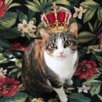 BS Navigator; Woman of the World; Queen of my own Home; Married; Love the freedoms of this country; truth matters; Faith...