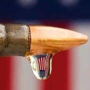 Conservative with libertarian leanings. A smaller and less powerful government must be the goal.