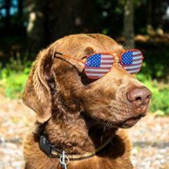 "Proud Member of Herd Immunity"