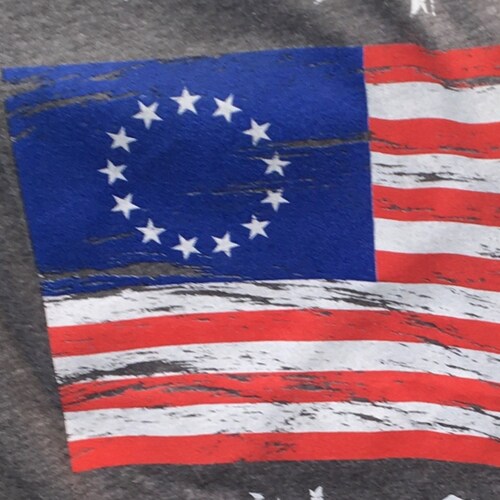 #🇺🇸🇺🇸🇺🇸🇺🇸🇺🇸🇺🇸🇺🇸🇺🇸            Get to the bottom of Nov 3 ‘20 election