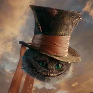 here for the show>>>