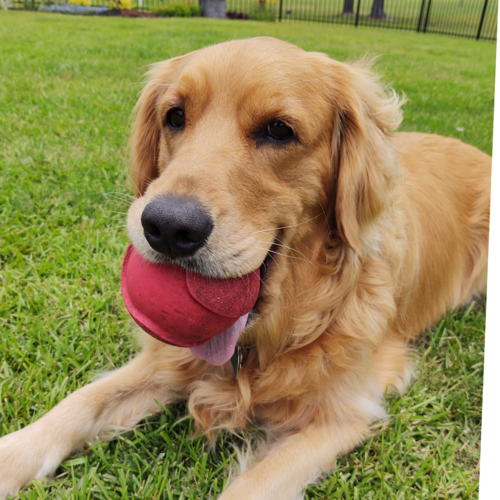 Visit CheeseQueen's profile on GETTR. View their posts, photos, videos, and connect with them on the social platform.