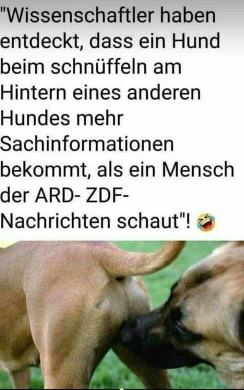 Das ZDF ist genau so wie unten beschrieben, Bericht über Attentate, besonders wenn Sie von Allahs Na...