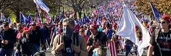 The Media Mob