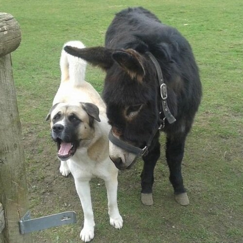 im free and will stay free, i do not play their game! stop paying tax to your masters, sheep!