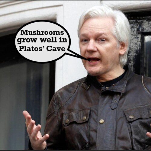 #PizzaGate is REAL, but Trump-Russia, Charlottesville and J6 are FAKE #Fedsurrection... Was FB @RealGenFlynn & @ChanelRi...