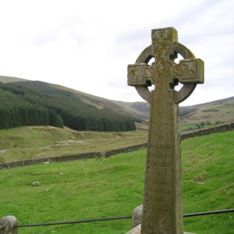 Mixed bag of Irish and Scot, noted for fierce defense of freedom, and non-tolerant of Liberals and Progressives.