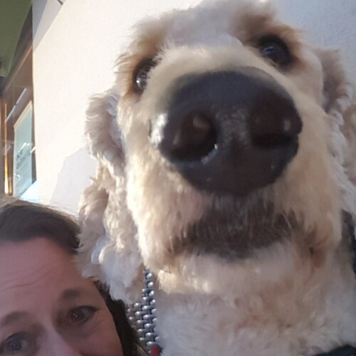 Visit Cindypk's profile on GETTR. View their posts, photos, videos, and connect with them on the social platform.