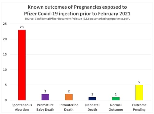 Breaking News: New Study & Pfizer Documents Prove COVID-19 Vaccination To Cause Mass Depopulation Through Infertility & Death

A new study, conducted by respected doctors and scientists in Israel, reveals COVID-19 vaccination is also going to lead to depopulation due to the adverse effect it has on the fertility of men because the respected doctors and scientists have discovered that COVID-19 vaccination decimates sperm count.

https://expose-news.com/2022/06/26/new-study-pfizer-docs-depopulation-infertility/