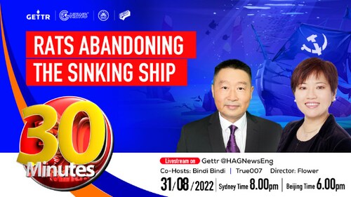2022.08.31.   30 MINUTES---Rats abandoning the sinking ship Co-Hosts: True007|Bindi Bindi  
