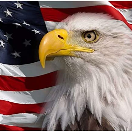 Visit Viper995's profile on GETTR. View their posts, photos, videos, and connect with them on the social platform.