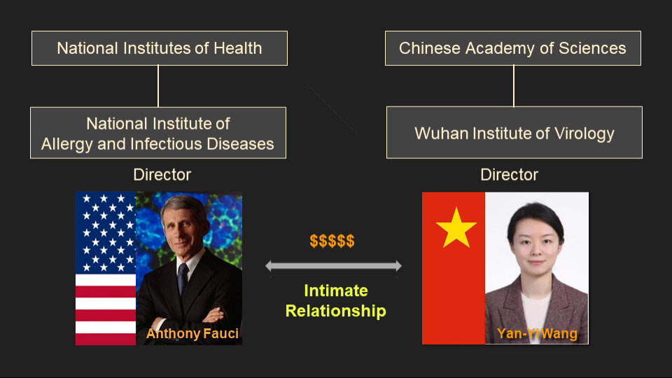 COVID Pandemic: An Intimate Relationship Opened the Pandora’s Box
#COVID #Fauci #YanyiWang #CCP