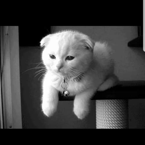 🇺🇸The Best is Yet to Come🇺🇸
💥Ultra Grandma💥