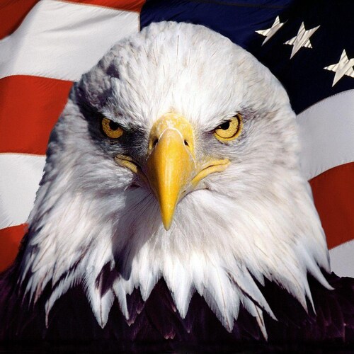 Stuck losing my liberties and freedom in NJ but not for long! Fuck the commie dems that run this state, card carrying un...