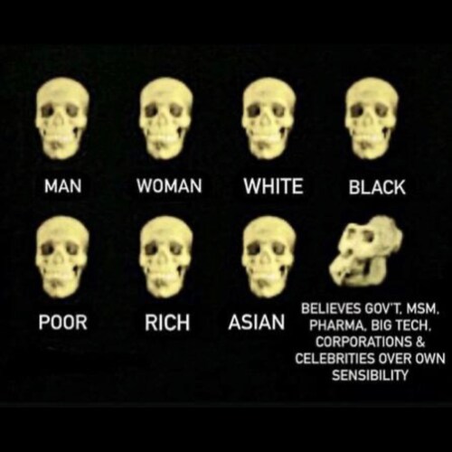 SENDING LOVE AND VIBS… My proNouns ME , MYSELFE and I …