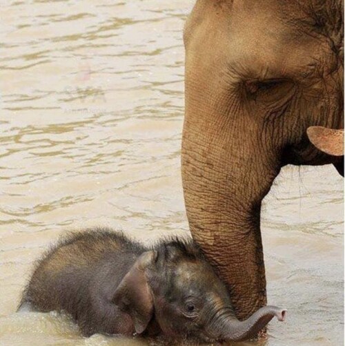 Proud American, I am a daughter,sister, cousin,aunt, wife of American soldiers