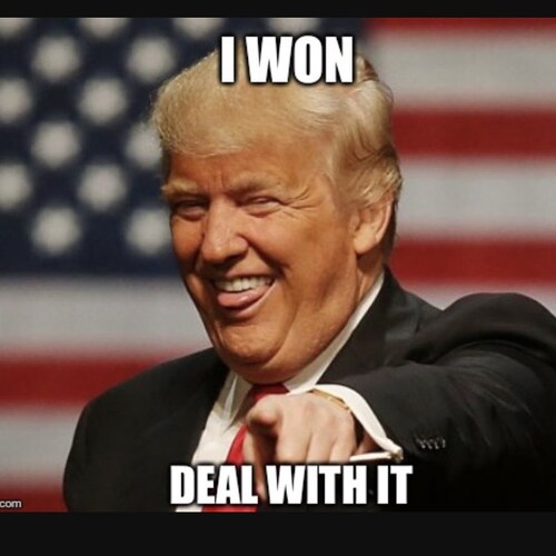 Banned from Twitter for being a die hard Trump deplorable.