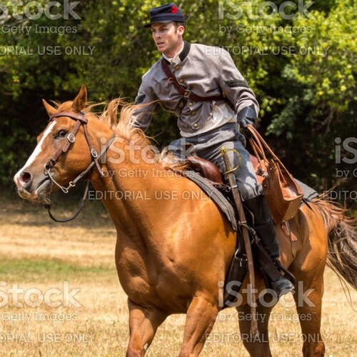 MAGA! Conservative! Veteran! Belives in America