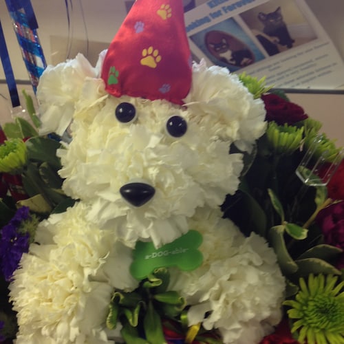 Love this country, our Military & Donald J. Trump. Proud Patriot, Christian & Florida Cracker. TRUMP WON!!! Banned from ...