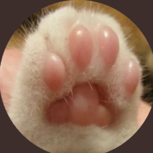 無苗無幣
爆料革命自干五😸
只有滅共才有希望
感謝七哥
讓我站在巨人的肩膀
看世界🌏🦅🦋
加入蓋特一週年
感謝🙏6千多同行者