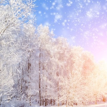 发出雪花之力，放射星之微芒！