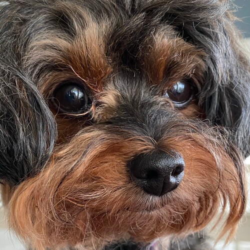 First Coffee, Then Thoughts