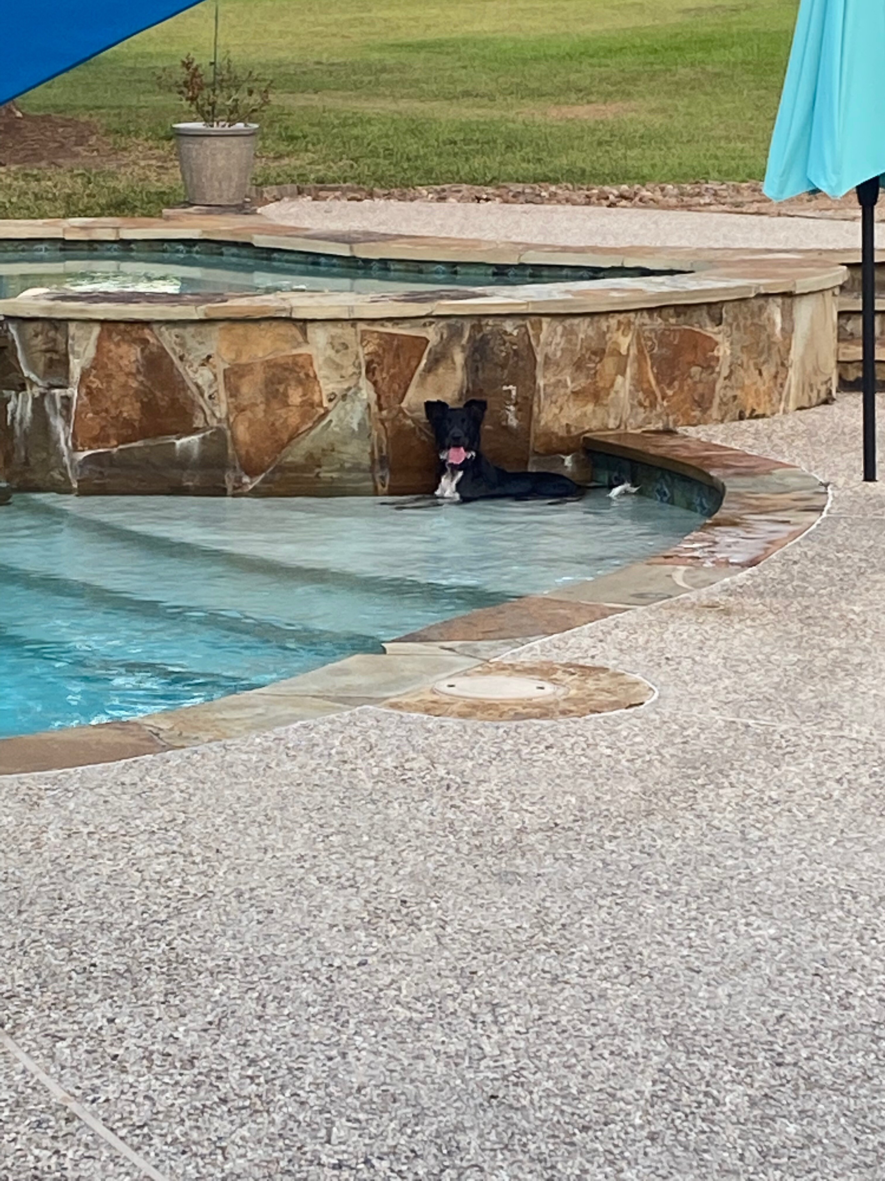 #texaslife 