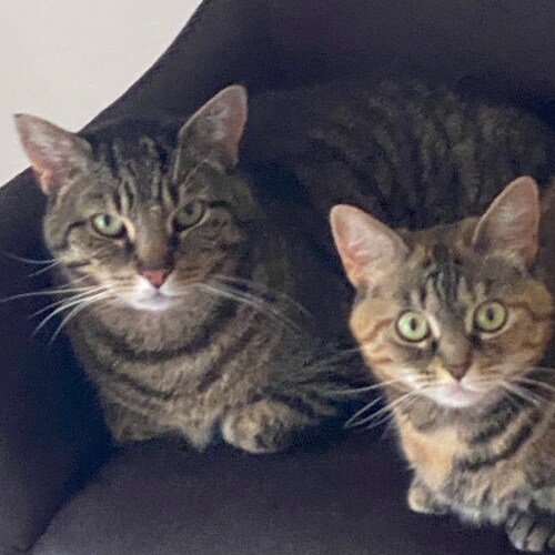 Visit LarryR1's profile on GETTR. View their posts, photos, videos, and connect with them on the social platform.