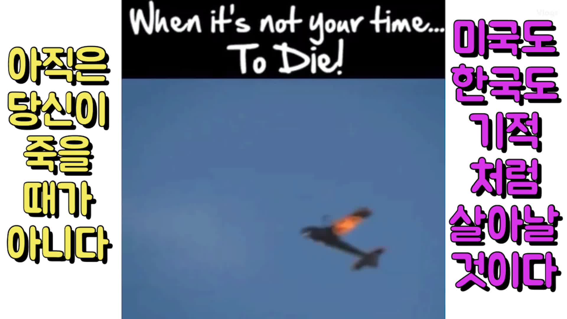 아직은 죽을때가 아니다. 기적처럼 살아날 것이다.