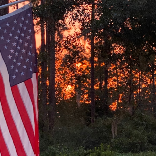 Visit MonicaTorre's profile on GETTR. View their posts, photos, videos, and connect with them on the social platform.