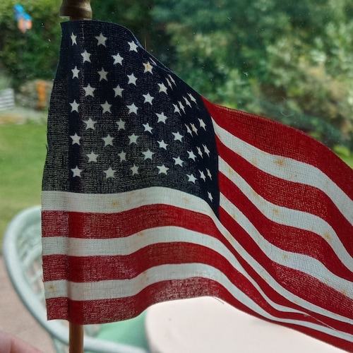 I am a Grandma of 4, Was a Democrat until I voted for Trump. Also in 2020, I am now a True Patriot Conservative Trump wi...