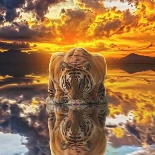 Visit Edu Sou's profile on GETTR. View their posts, photos, videos, and connect with them on the social platform.