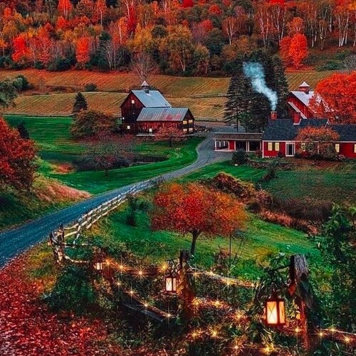 V D injection 的效果是真的好👍。
在过去疯狂黑暗的三年里，每个冬季三针VD injections ,无论是密闭的机舱，拥挤的地铁还是和得冠人的多次密接都能平安无事！