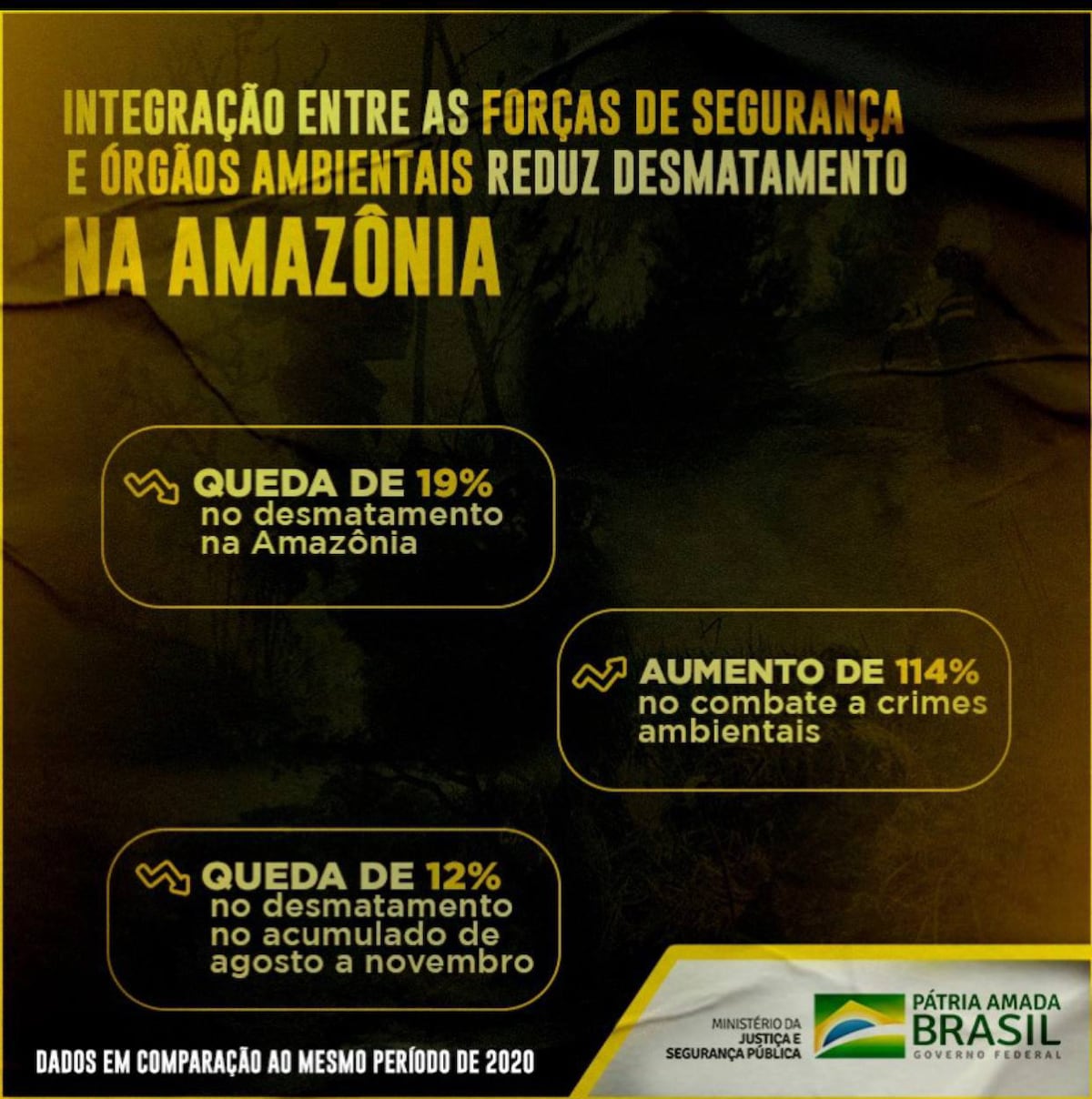 As ações integradas realizadas pelo Governo Federal para combater os crimes ambientais contribuíram ...