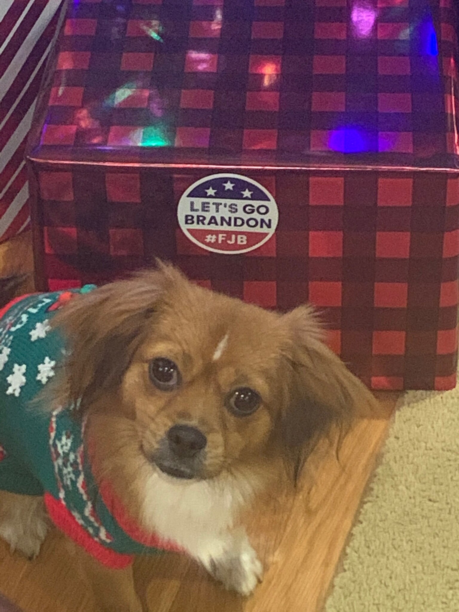 She gets it!!