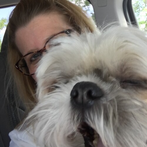 True Texan and God fearing  patriot.  I’m a Trump Girl, get over it!  I will not be swayed by the masses.  I will not bo...