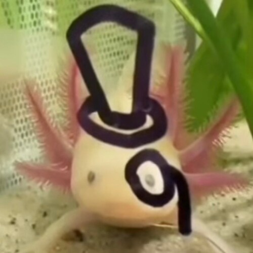 Caliunicornia Conservative