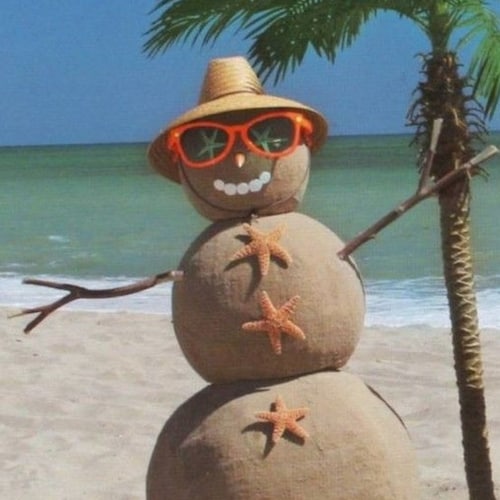 Christian, Nerd, Veteran, 🤦🏼‍♀️, Amateur SUP Racer.  **Please no trains - selective about who I follow. / I probably w...