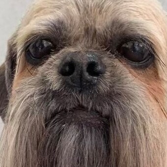 Small Business Owner. A libertarian living amongst the sheep. If it's funny I laugh.