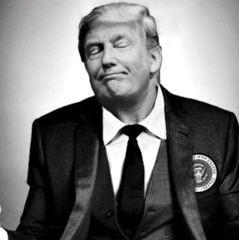 California Patriot.  Champion of the constitution.  No way, Joe got 81 million votes, Trump Won!