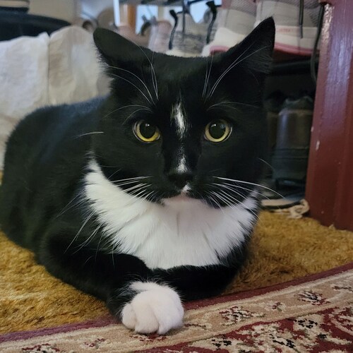 "Be Careful reading self-help books; you could die from a Misprint "
--Mark Twain